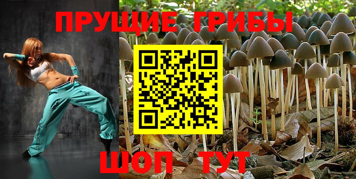 Галлюциногенные грибы прущие грибы Шебекино