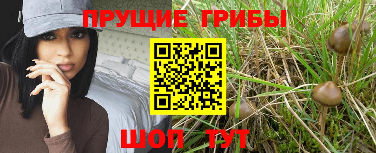 Псилоцибиновые грибы прущие грибы  Вход с VPN  Шебекино  Галлюциногенные грибы GOLDEN TEACHER 